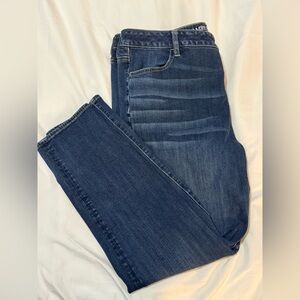 American Eagle high rise jegging size 20 short